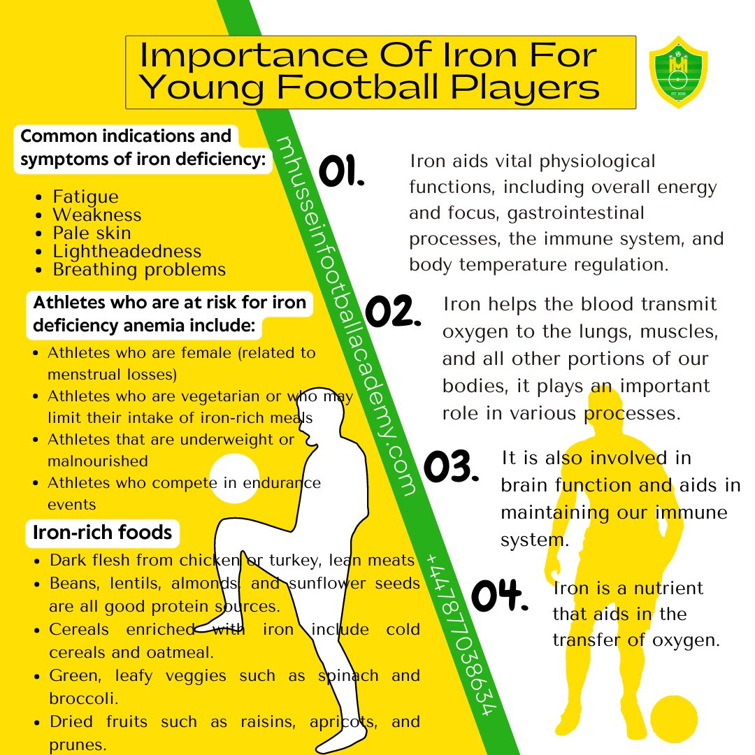 Importance Of Iron For Young Football Players M. Hussein